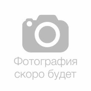 Семенова Татьяна Владиславовна Семенова Татьяна Владиславовна